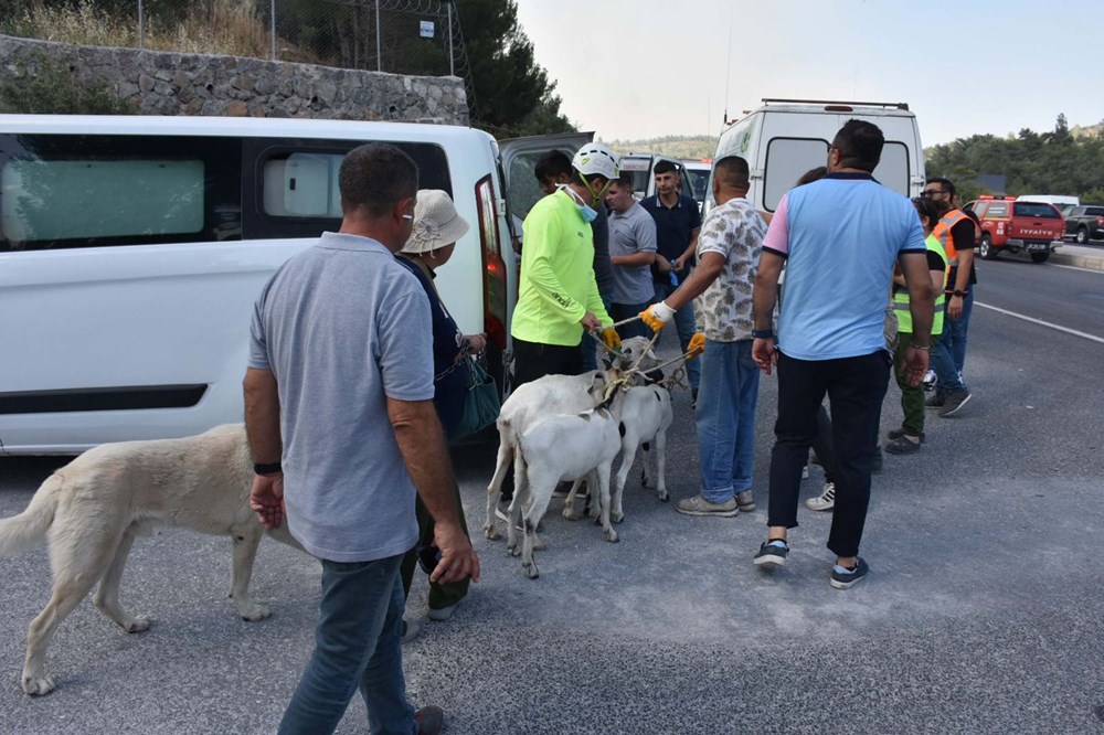 İzmir, Manisa, Balıkesir ve Kahramanmaraş’ta
orman yangını: İzmir yolu trafiğe kapatıldı, iki mahalle tahliye edildi - 6