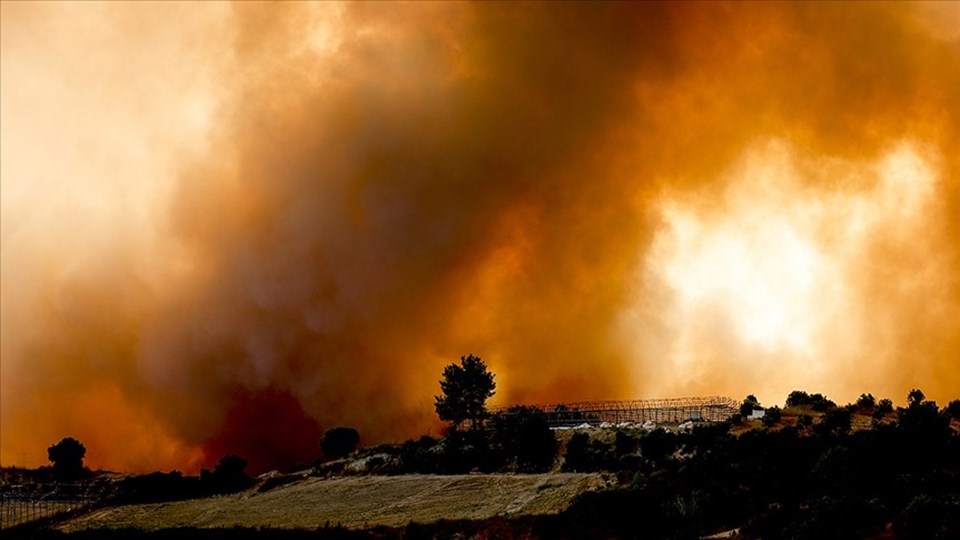 Büyük Manavgat orman yangını davasında karar - 1