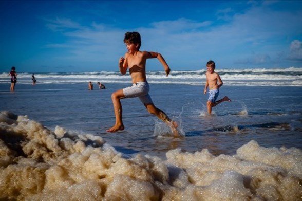 avustralya da okyanus kopugunden