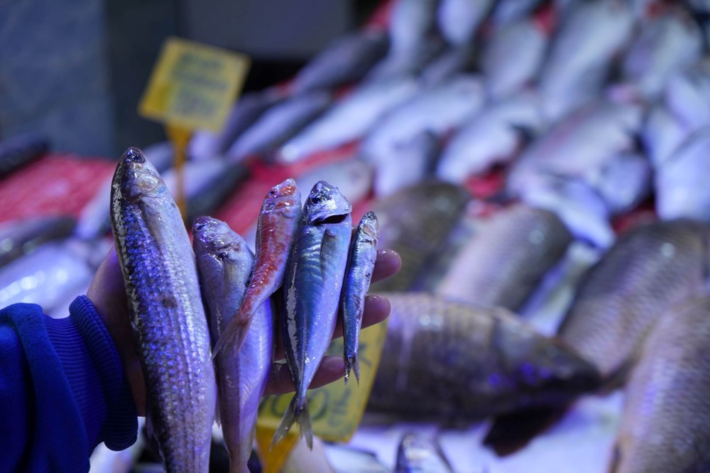 rBvswUTy1UizYROqlLWUFA