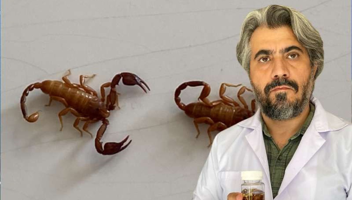 Yeni keşfettiği akrep türüne eşinin adını verdi! Yeni keşfettiği akrep türüne eşinin adını verdi!