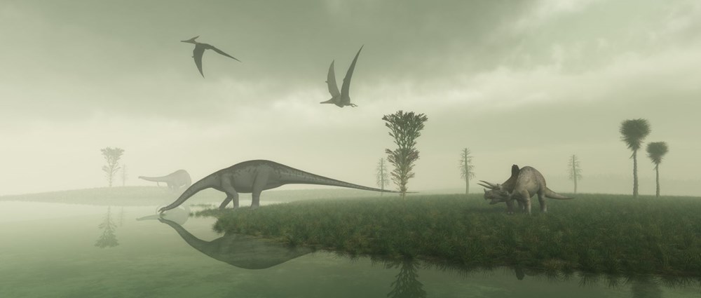 Dinozorların 10 santimetre uzunluğundaki atası bulundu - 2