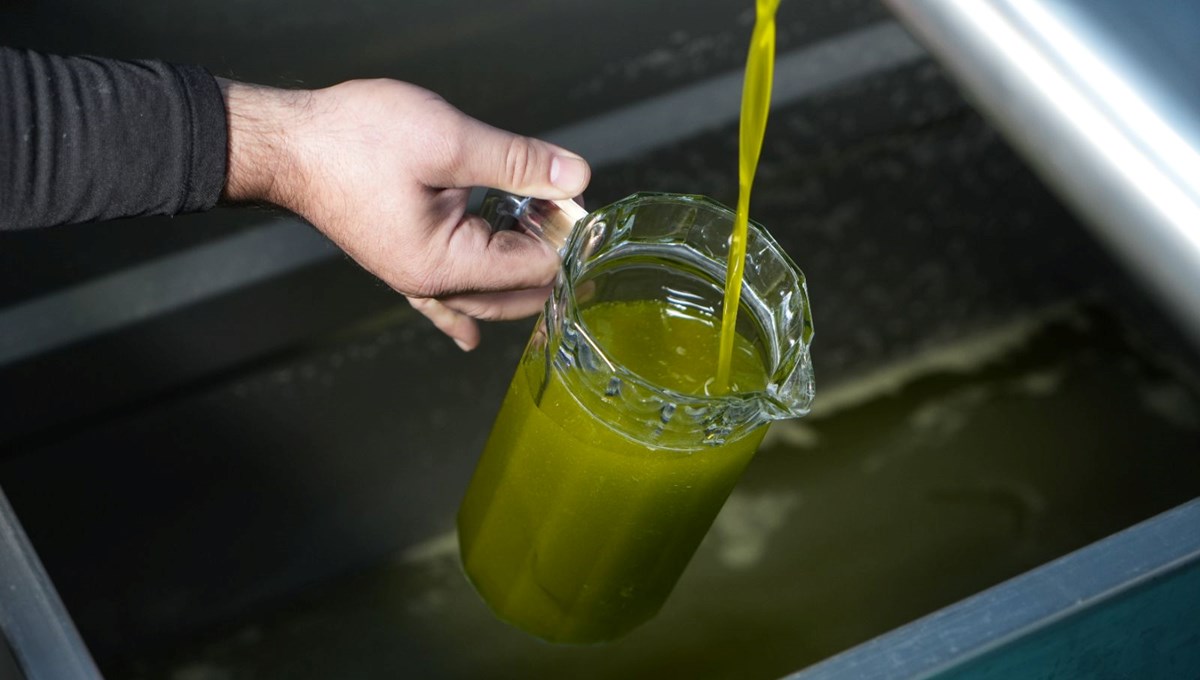 Köylüler ağaçlardan binbir zorlukla topluyor! ''Pahalı olmayı sonuna kadar hak eden besin'' 3 bin yıldır sayısız hastalığa şifa oluyor