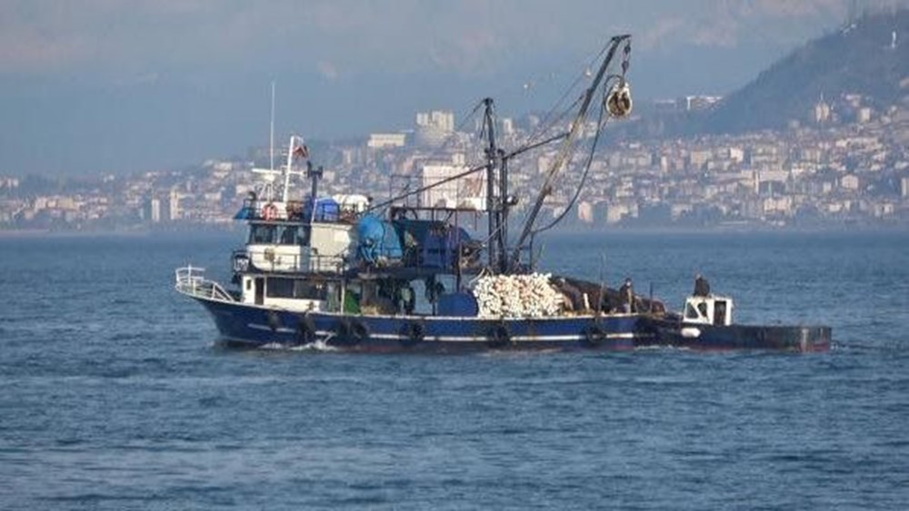Karadeniz'de 'Pasifik istiridyesi' istilası - 11