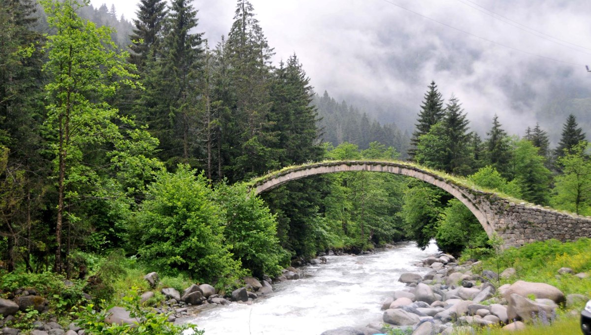 Sel ve heyelan sonrası Karadeniz'de şimdi de kuraklık tehlikesi Sel ve heyelan sonrası Karadeniz'de şimdi de kuraklık tehlikesi