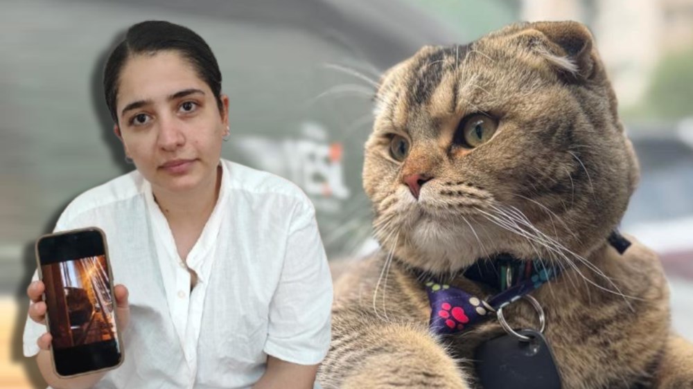 Bu evliliğin kaderi kediye bağlı: "Eşim beni boşayacak" - 1