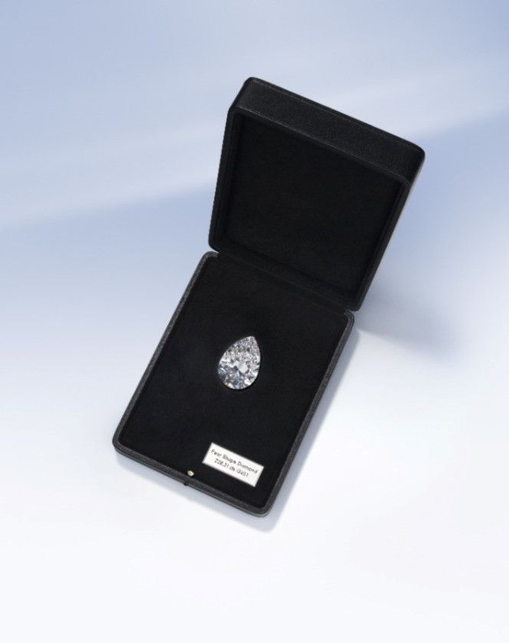 Dünyanın en büyük beyaz elması 287 milyon TL'ye satıldı - 6