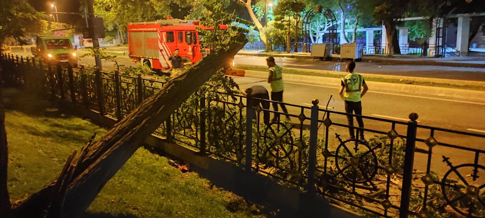 Üsküdar'da ağaç yola devrildi - 3