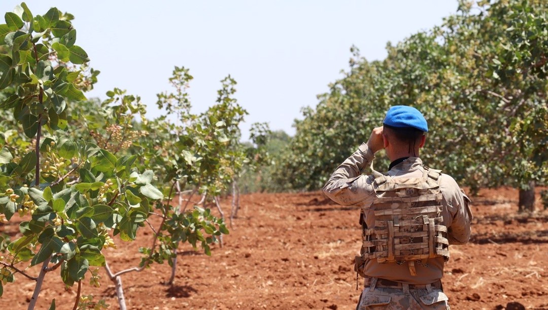 Türkiye'nin "Yeşil Altın" Jandarma nöbette, önlemler arttı