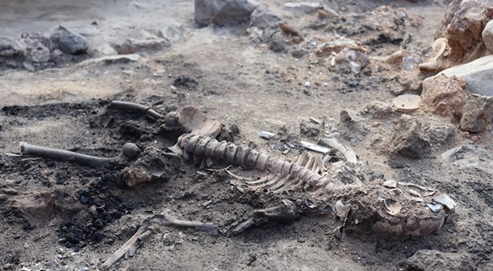 Kütahya'daki höyükte 3 bin 700 yıllık beyin ve deri kalıntıları bulundu - 4