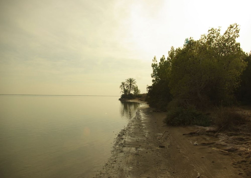 Türkiye'nin Milli Parkları (Türkiye'deki milli parkların listesi ve isimleri) - 78