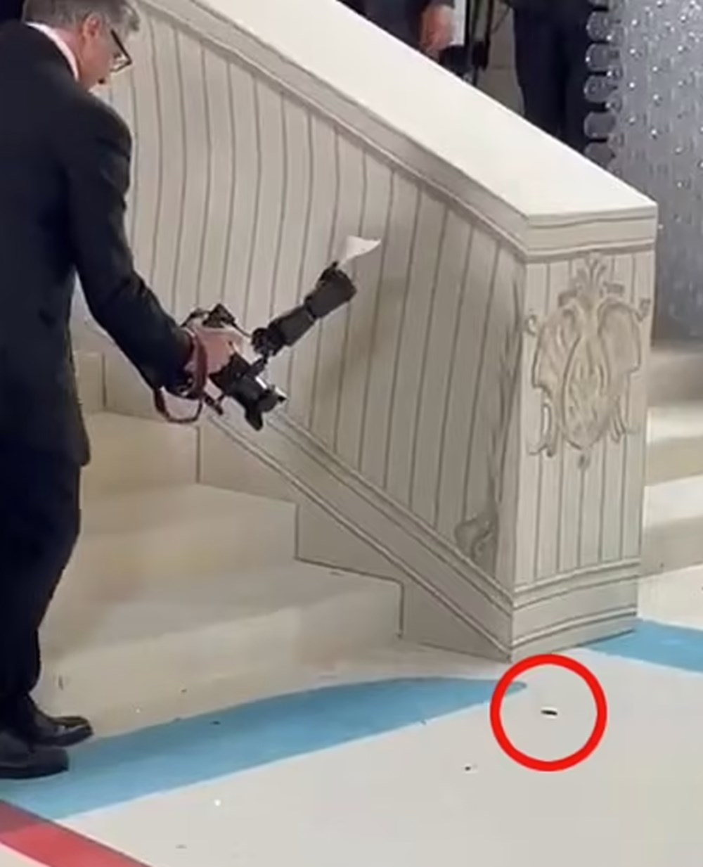 Hamam böceği Met Gala'da rol çaldı - 2