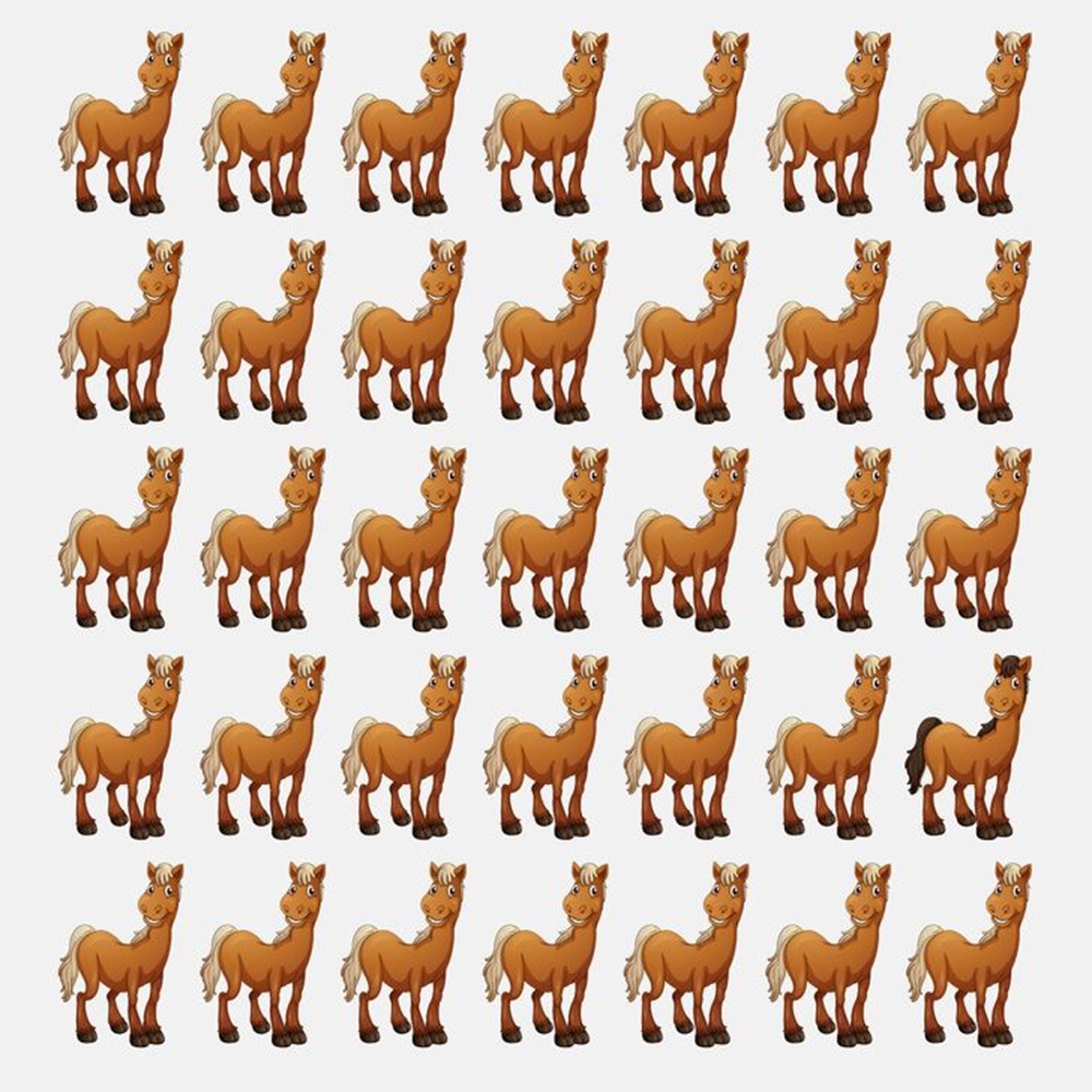 Bu görsel size kim olduğunuzu söylüyor: Resimde ilk önce hangi hayvanı gördünüz? - 62