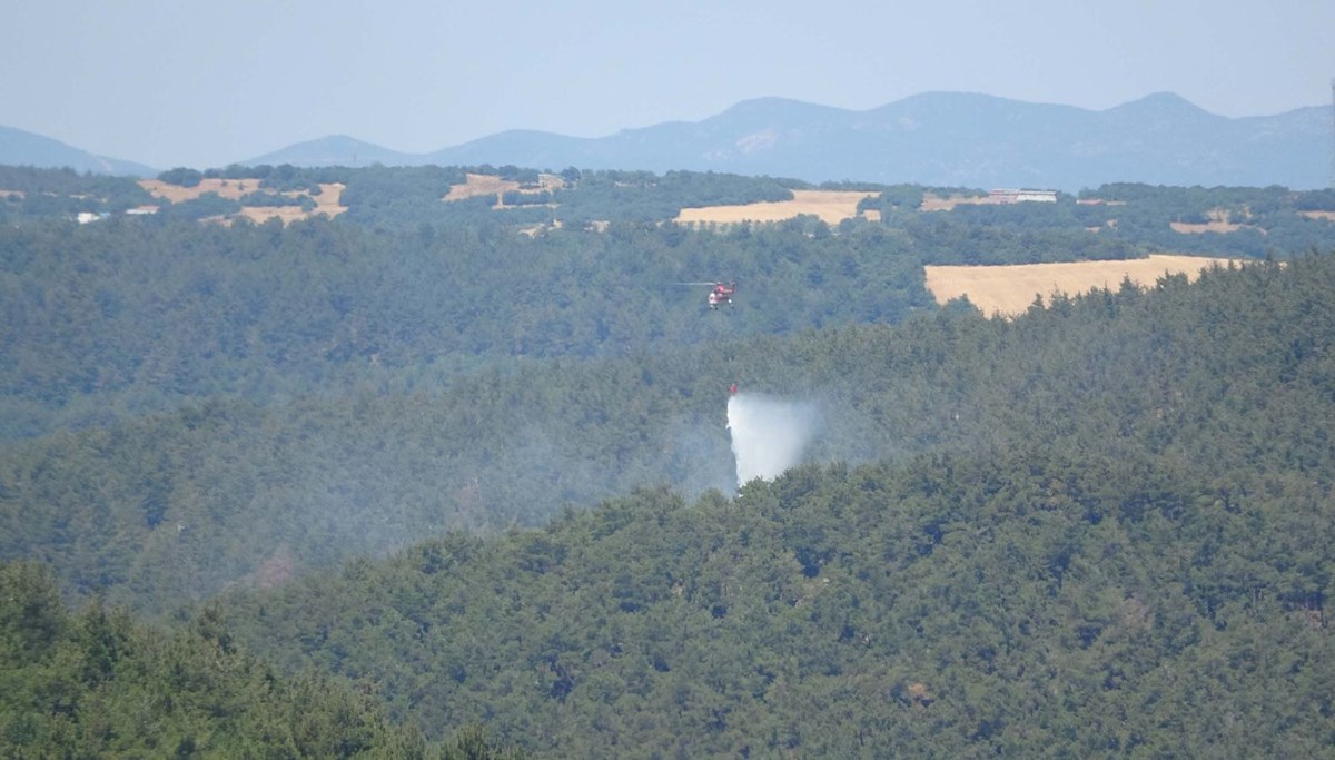 Çanakkale Lapseki’de orman yangını