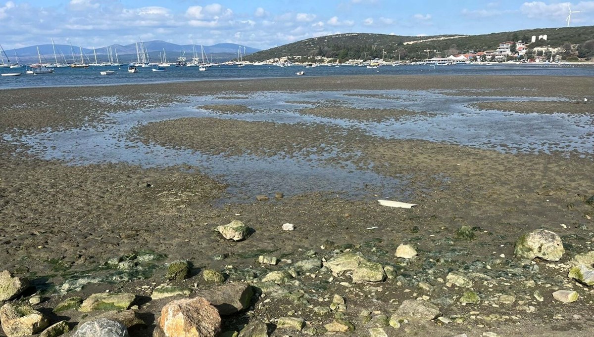 Ege'de deniz suyunda çekilme devam ediyor | Uzmanından açıklama: Depremlerle ilgisi var mı?