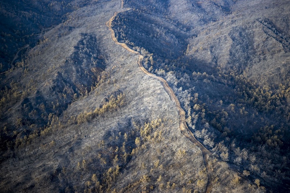 Marmaris'te orman yangını: Yanan alanlar havadan görüntülendi - 5