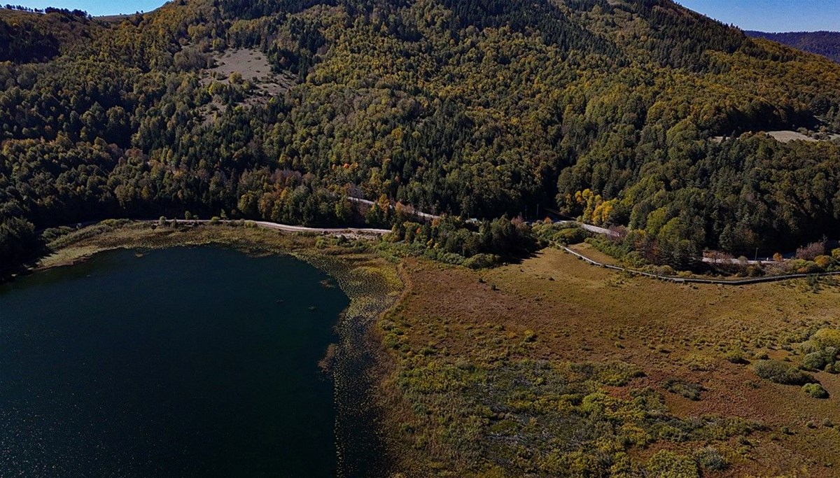 Abant'ta renk cümbüşü: Vatandaşlar doğanın keyfini çıkardı