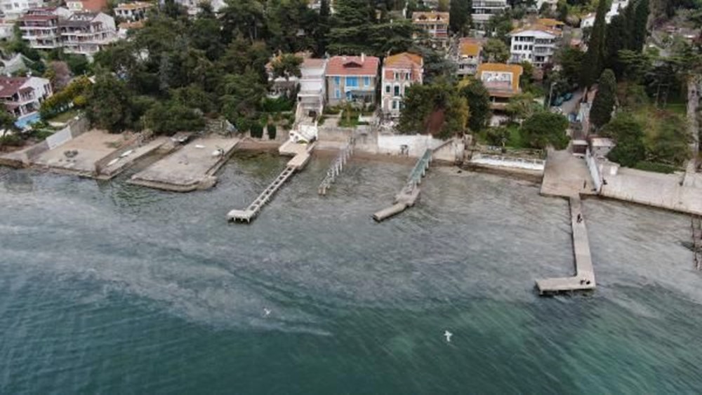 Büyükada'yı 'salya' sardı - 9