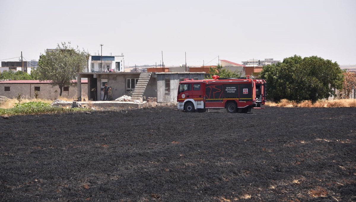 Şanlıurfa'da 40 dönüm buğday ekili alan kül oldu Şanlıurfa'da 40 dönüm buğday ekili alan kül oldu