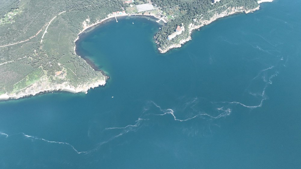 İstanbul Sularında Alarm: Müsilaj Kabusu Geri mi Dönüyor? 72 rQZSjNO8i0ahc1tZWKYS6w