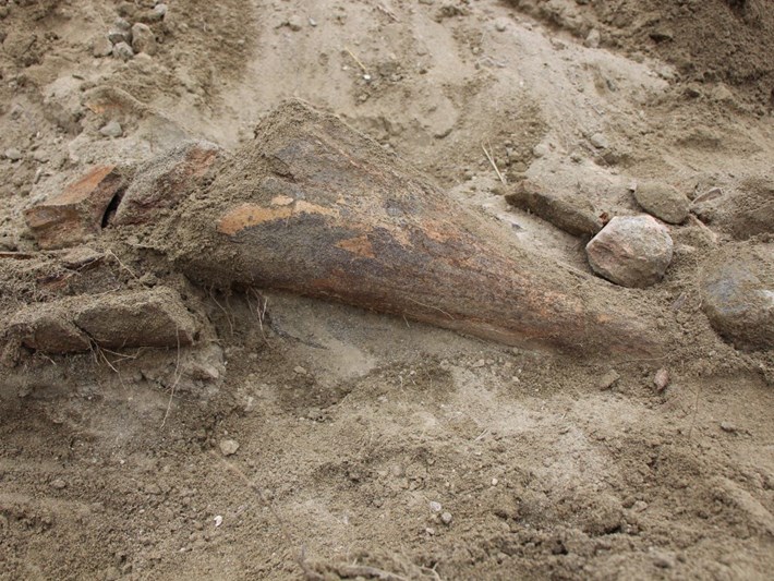 amasya haberleri son dakika amasya