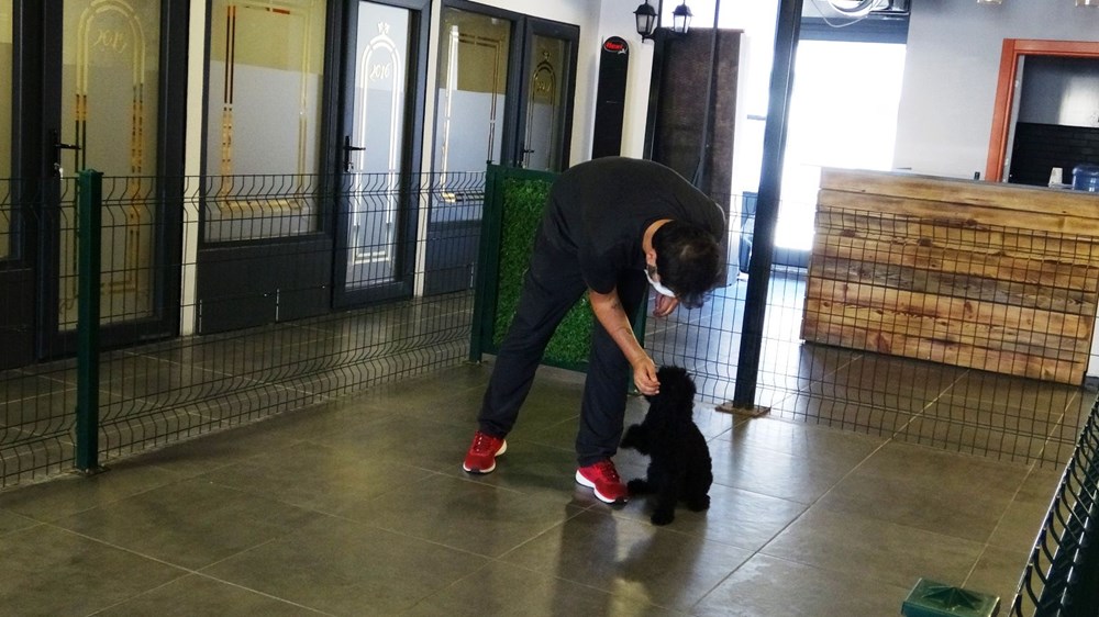Kedi Oteli bayramda tamamen doldu - 8