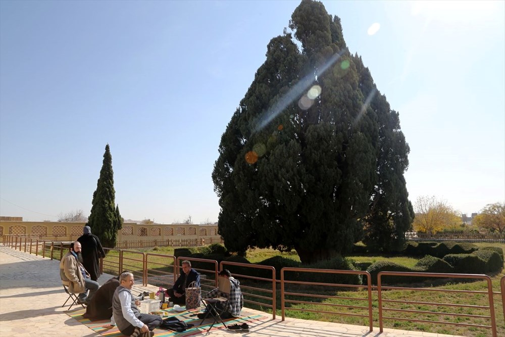 İran'ın en yaşlı ağacı Dünya Mirası Listesi'ne girmeyi bekliyor - 7