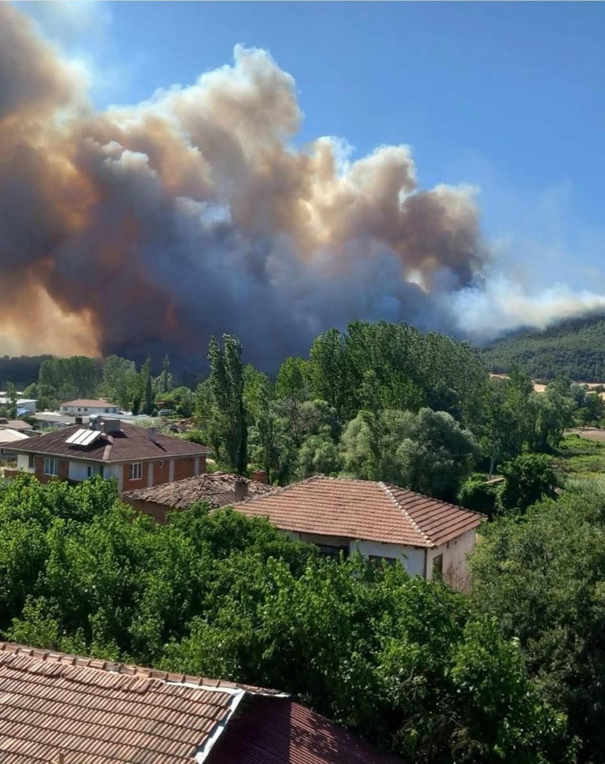 Sakarya Taraklı