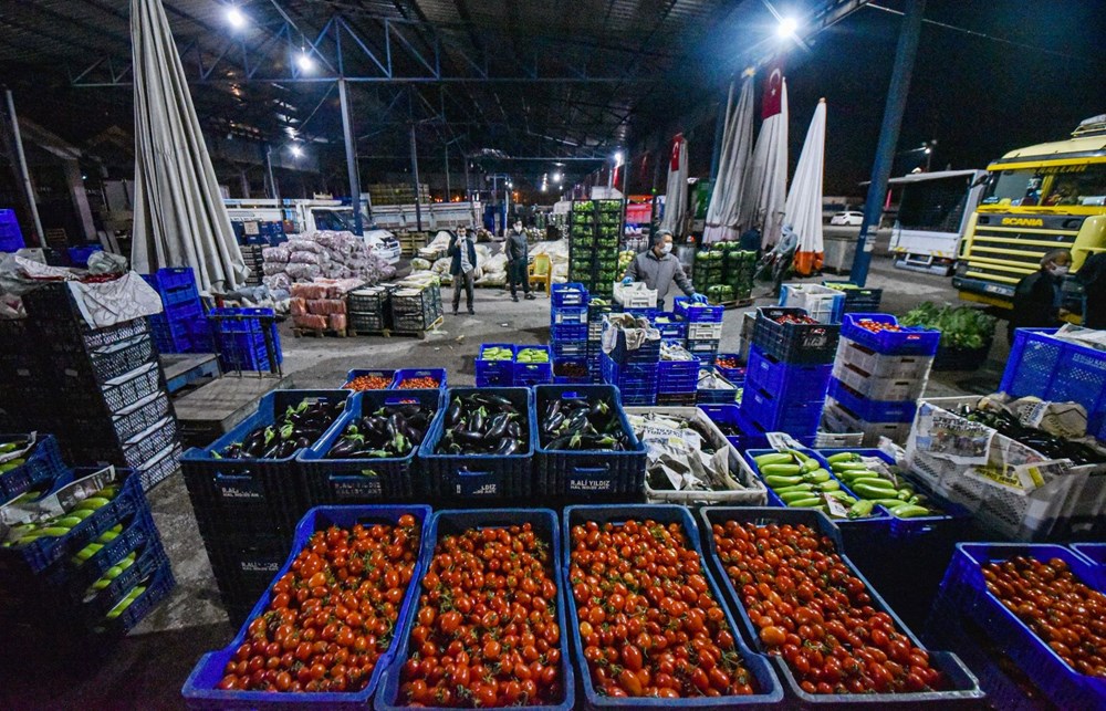 Sınırda 20 gündür süren TIR kuyruğu çilesi - 1