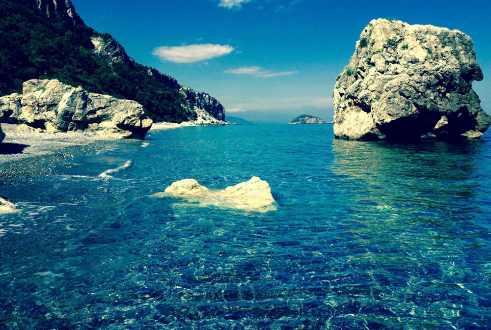 2022 Cannes Film Festivali'nde Altın Palmiye'nin sahibi olan Hüzün Üçgeni'ne dair bilinmesi gerekenler - 7