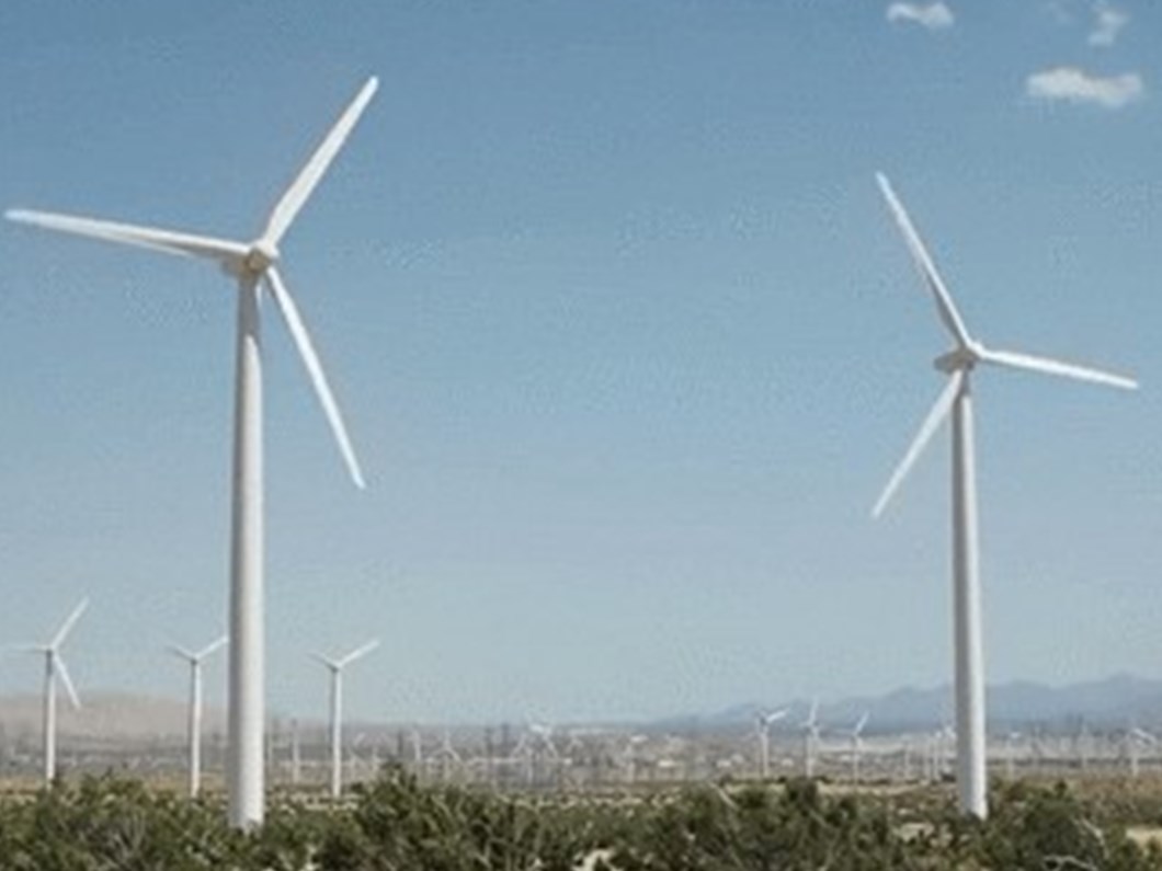 Dev Ruzgar Enerjisi Ihalesini Kazanan Belli Oldu Ntv