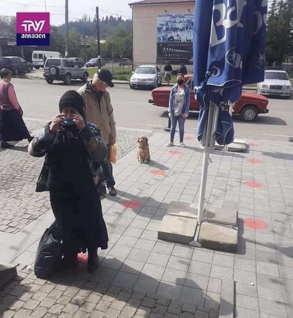 rXH-hXrFoU2bJlZBM-9imQ.jpg?width=1000&mo