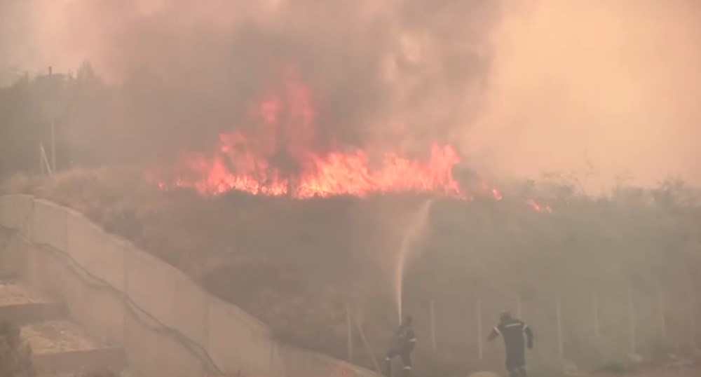 Akdeniz alev aldı: Yunanistan ve İtalya’da orman yangınları sürüyor - 55
