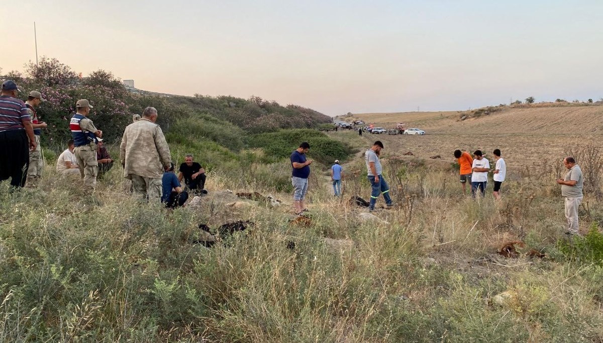 Onlarca küçükbaş hayvan öldü