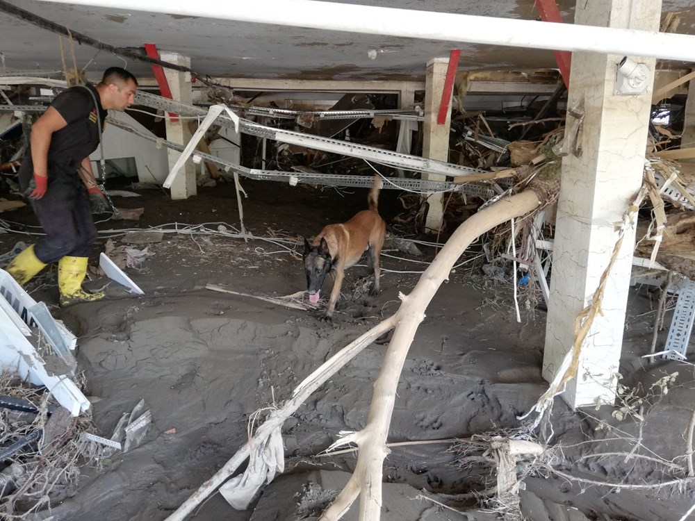 Kadavra köpekleri su altında sekiz ceset buldu NTV
