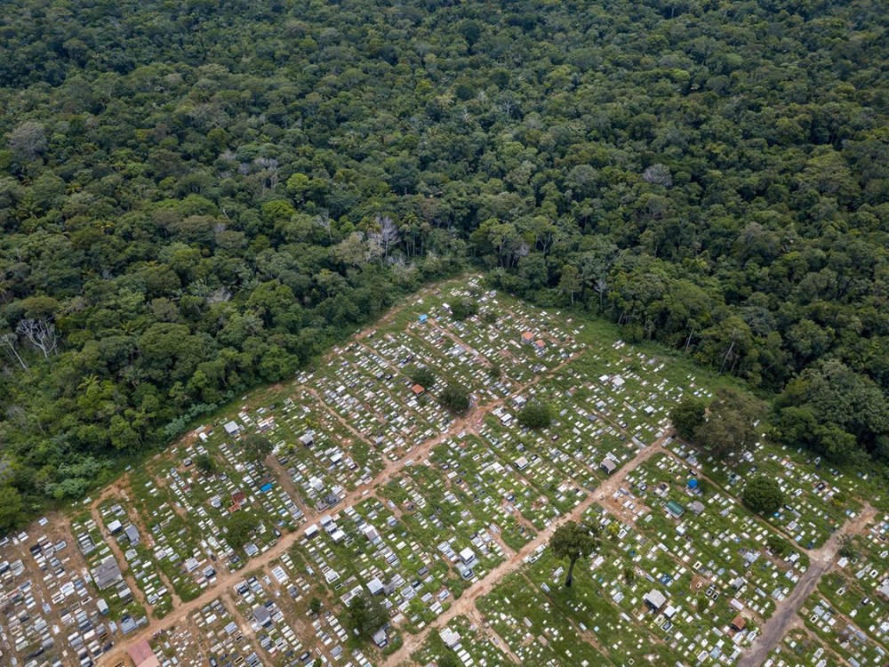 İklim krizi: Amazon yağmur ormanları kritik eşiğe yaklaşıyor - 5