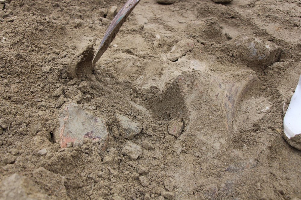 Amasya'da bulunan cisimler için mamut fosili heyecanı - 6