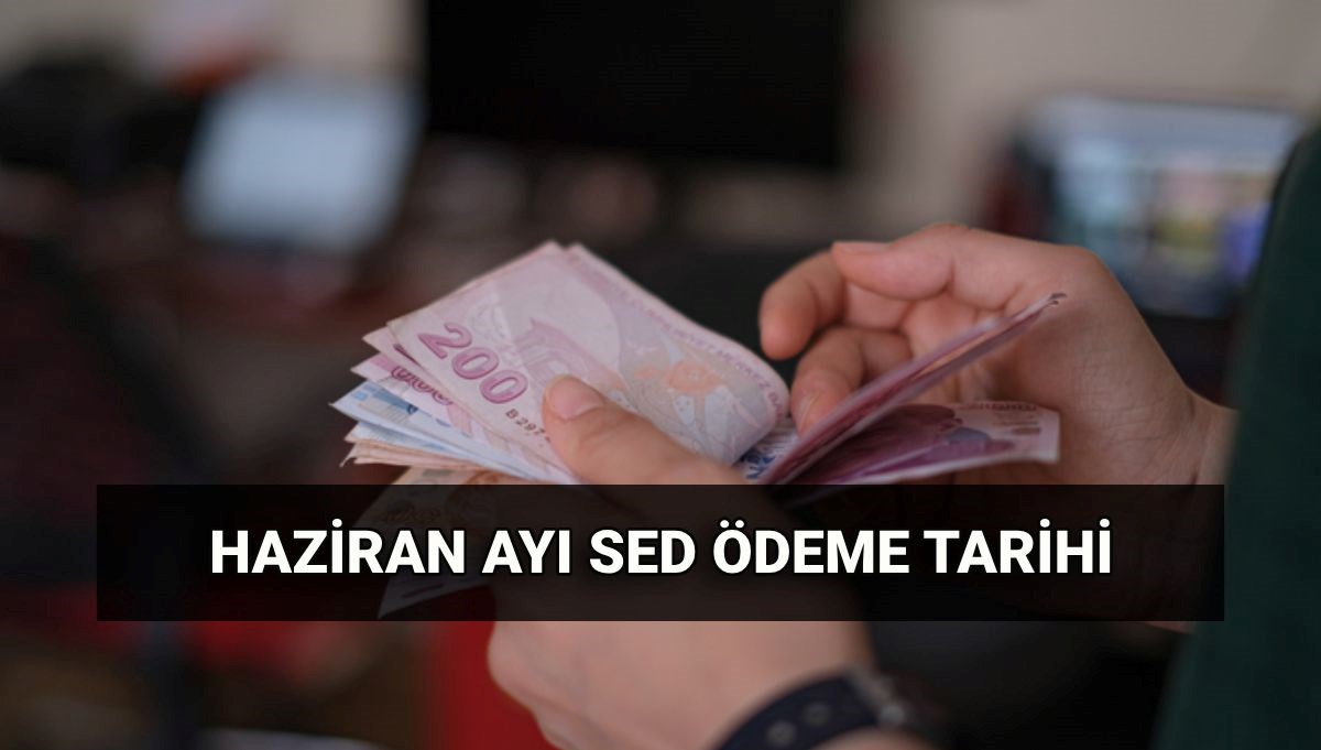 Haziran SED ödeme tarihi 2025: Sosyal ve Ekonomik Destek (SED) ödemeleri ne kadar, ne zaman yatar?