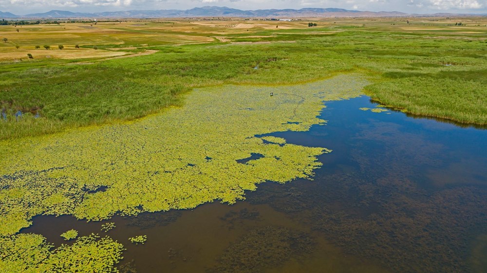 Türkiye'nin en büyük nilüfer bahçesi: Beyşehir Gölü - 9