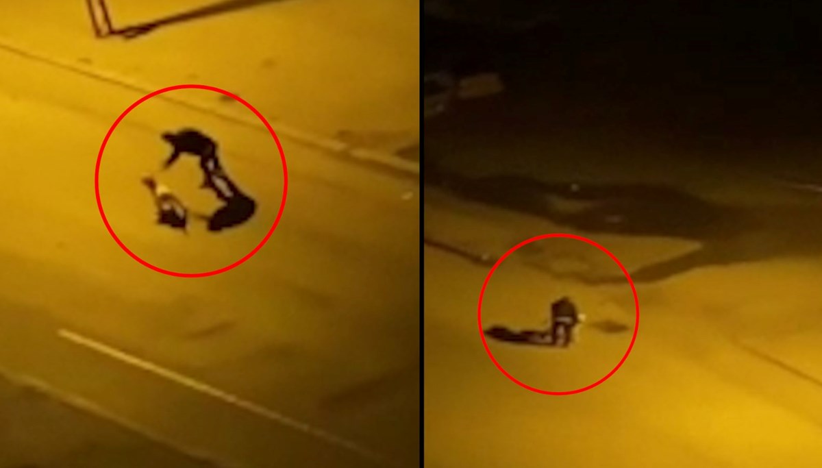 Köpeğini tasmasıyla dövdü