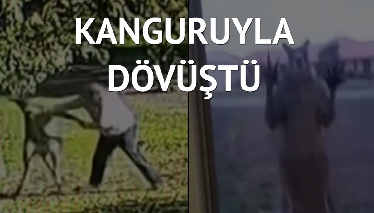 Kaçmayı başaramayınca yumruk yumruğa dövüştü