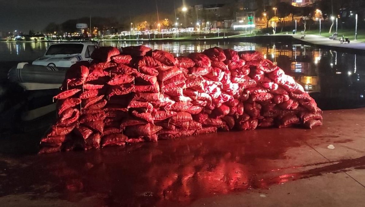 İstanbul'da 3 ton kaçak midye ele geçirildi