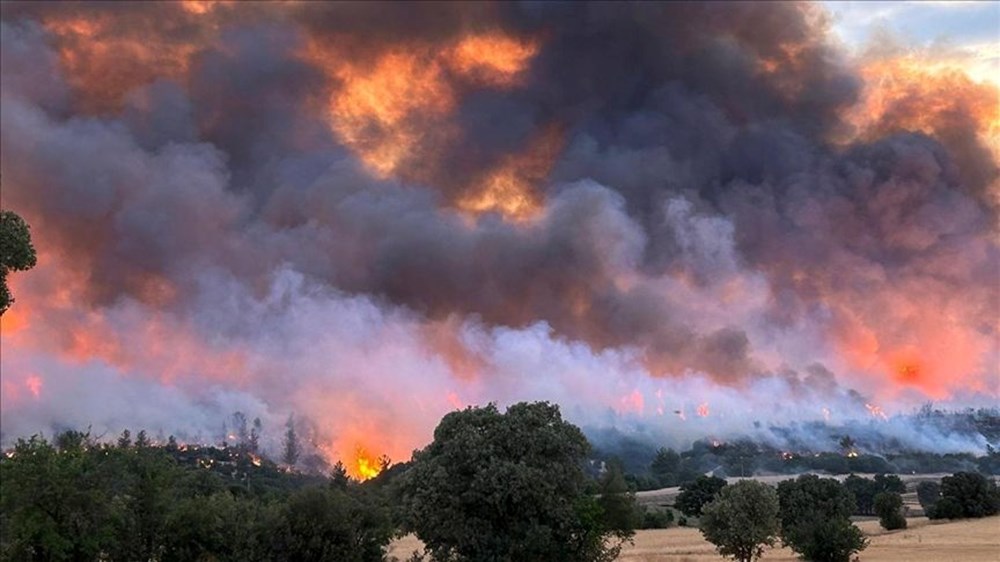 Orman yangınları son durum 2025: Bursa, Karabük, Uşak, Kahramanmaraş, Bingöl, Antalya yangınları söndürüldü mü? - 6
