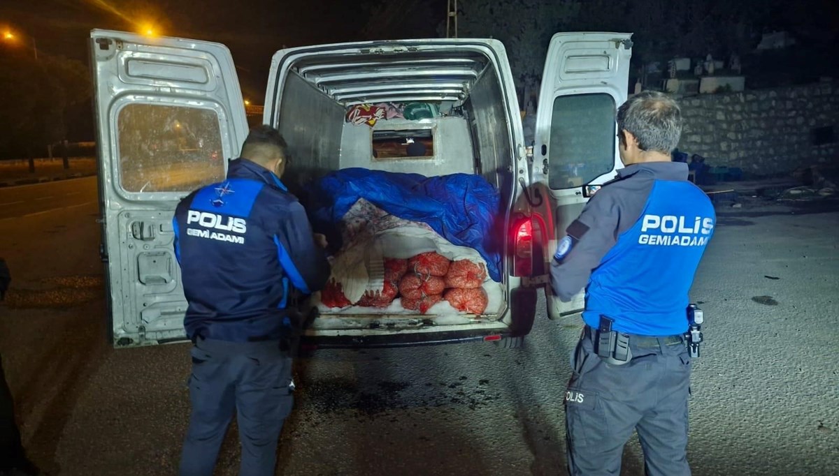 Samsun'da kaçak midye operasyonu