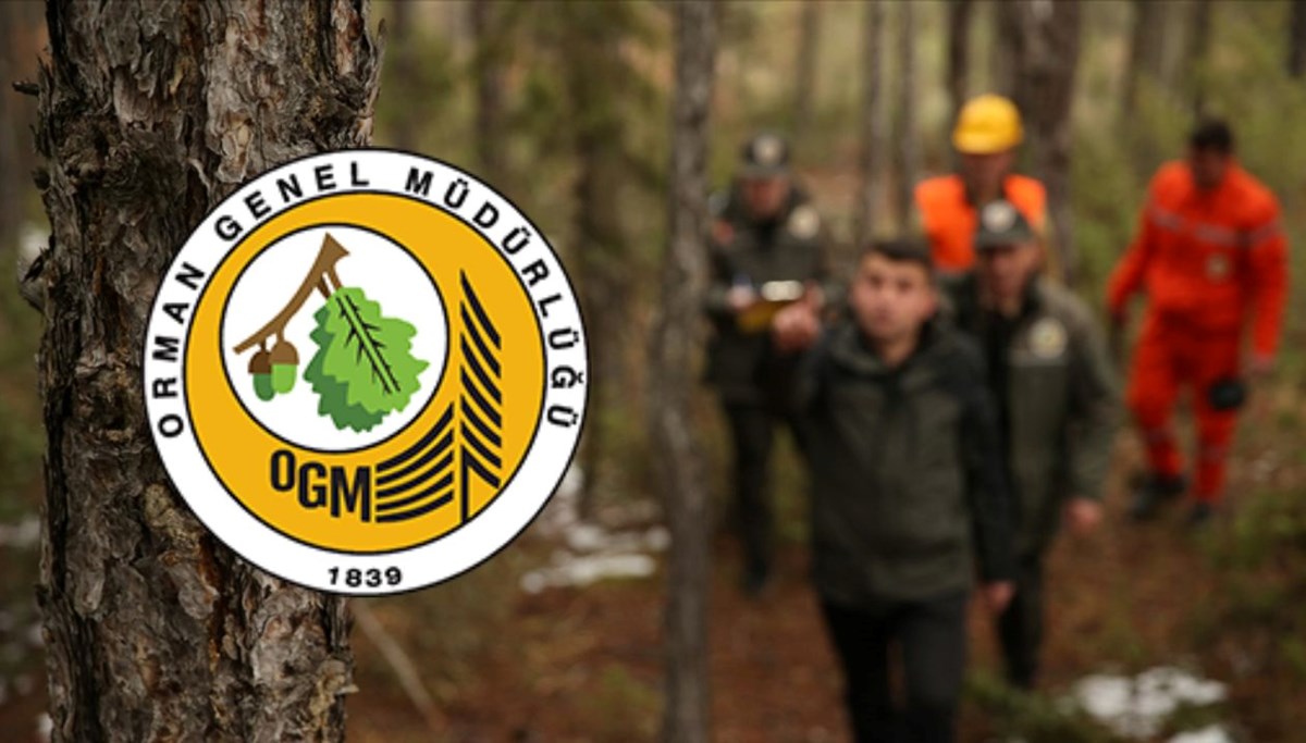 OGM 3.477 personel alımı başvuru sonuçları 2025: OGM personel alımı sonuçları açıklandı mı, ne zaman açıklanacak?
