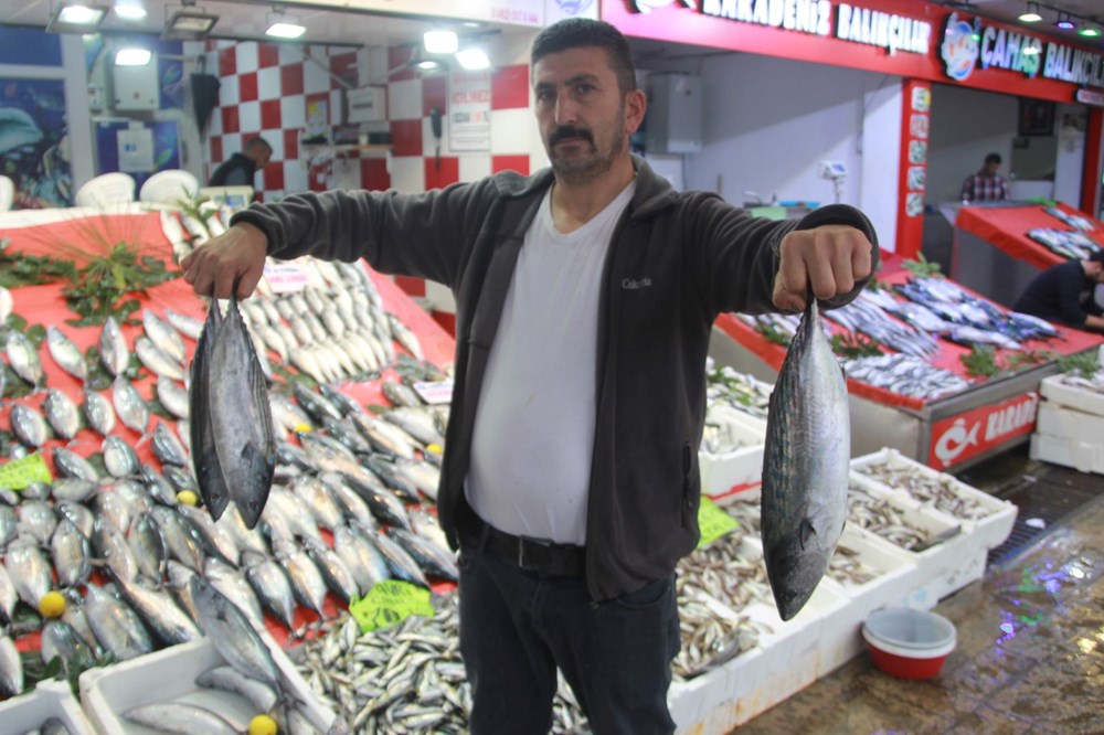 Karadeniz'den Müjde: Palamut Bolluğu ve Fiyatlardaki Sürpriz Düşüş