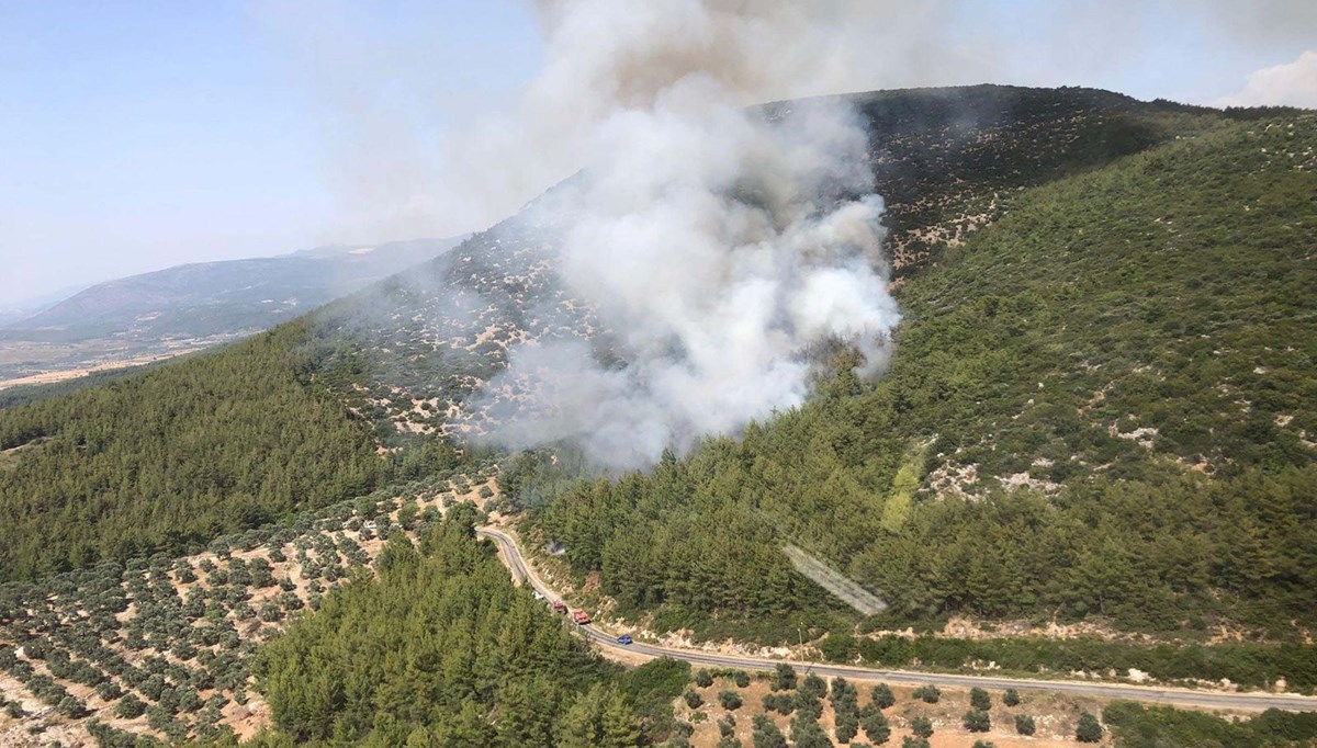 Milas'taki yangının çıkış nedeni sigara izmariti