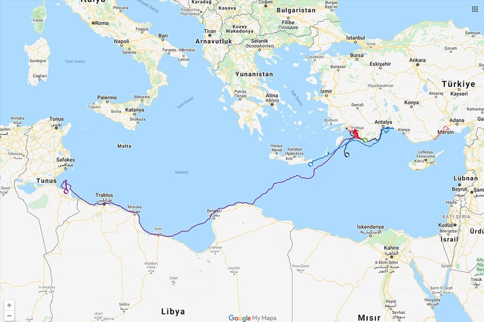 Uydudan izlenen Caretta "Likya" 296 günlük uzun yolculuğu sonunda Tunus'a ulaştı - 1
