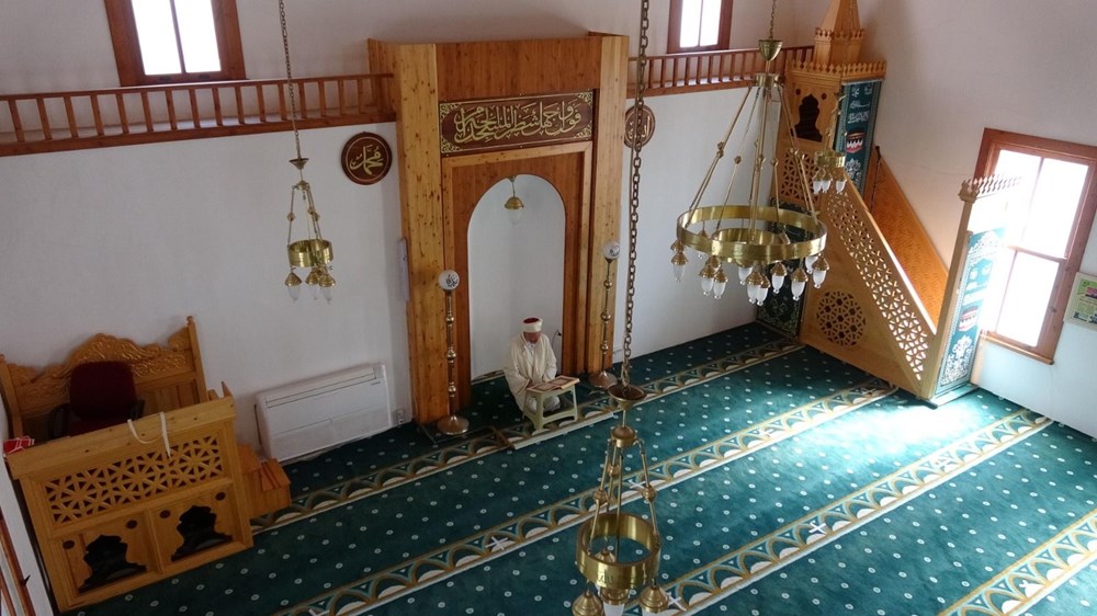 peygamber efendimizin kedi sevgisi