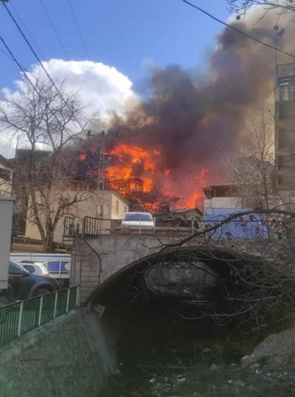 Artvin'deki yangın kontrol altında - 7